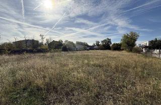 Grundstück zu kaufen in 2425 Nickelsdorf, Ebenes großes Grundstück in zentraler Lage mit ca. 1.878 m2
