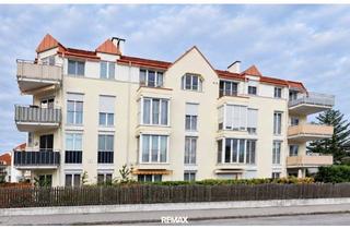 Wohnung mieten in 2500 Baden, 2 Zimmer in Baden zentral und ruhig.