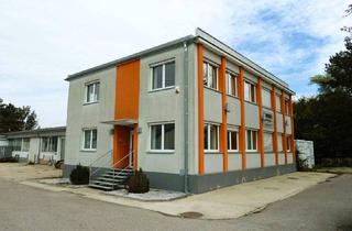 Büro zu mieten in 2104 Spillern, "VERKEHRSGÜNSTIG!"