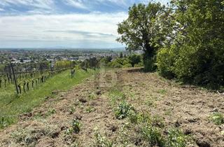 Grundstück zu kaufen in 2500 Baden, Für Langfristige Anleger in Ortsrand-Ruhelage mit Top Panorama