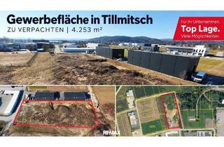 Gewerbeimmobilie mieten in 8430 Leibnitz, Ihr neuer Firmenstandort? 4.253 m² Gewerbegrundstück im Industriegebiet Tillmitsch!