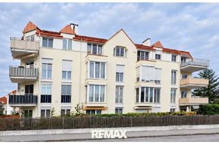 Wohnung mieten in 2500 Baden, 2 Zimmer in Baden zentral und ruhig.