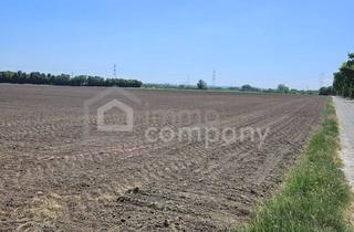 Grundstück zu kaufen in 2433 Margarethen am Moos, Landwirtschaftliche Fläche in Strategisch Interessanter Lage der Airport Region - 5,18 Ha