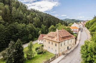 Haus kaufen in 8750 Judenburg, Historisches Geschäftshaus und ehemalige Gerberei am Landtorberg