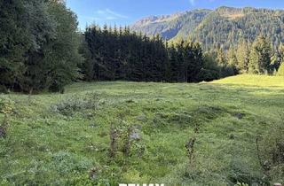 Grundstück zu kaufen in 6432 Sautens, Zwei Freilandflächen mit vielseitiger landwirtschaftlicher Nutzung in Sautens!