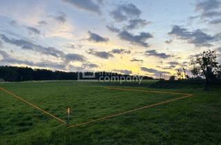 Grundstück zu kaufen in 3522 Pallweis, Raum für Ihren Wohntraum: 767 m² Baugrund in ruhiger Lage im Waldviertel!