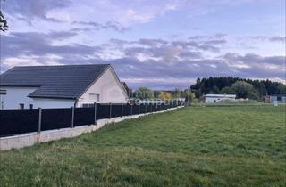 Grundstück zu kaufen in 3522 Pallweis, Ankommen im Waldviertel: 773 m² Baugrund in Pallweis um 25.509 €!