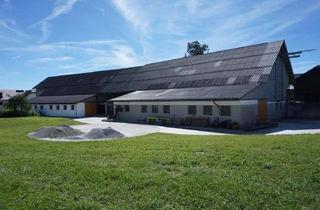 Lager mieten in 5201 Seekirchen am Wallersee, ZU VERMIETEN - Lagerhallen und Bürofläche in Seekirchen am Wallersee - flexibel nutzbar