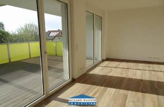 Wohnung kaufen in 3350 Haag, Neubauwohnung in Zentrumslage mit großer Balkon-Loggia und Carport