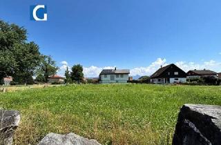Grundstück zu kaufen in 6973 Höchst, Großzügiges Grundstück in schöner Wohnlage von Höchst