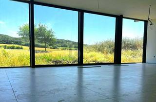 Haus kaufen in 7064 Oslip, PANNONISCHE EXKLUSIVITÄT IN GLAS - MIT POOL UND POOLHAUS