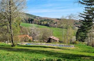 Grundstück zu kaufen in 3021 Pressbaum, PARKGRUNDSTÜCK IN RUHELAGE MIT GEBÄUDEALTBESTAND