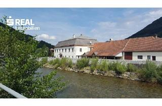 Immobilie kaufen in 3180 Lilienfeld, Gemischt nutzbares Objekt, bestehend aus Gasthof und Wohnung