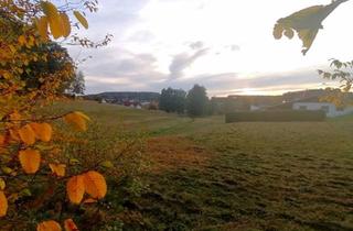 Grundstück zu kaufen in 8212 Pischelsdorf in der Steiermark, Viel Platz für Ihren Wohntraum in Pischelsdorf am Kulm (Provisionsfrei)