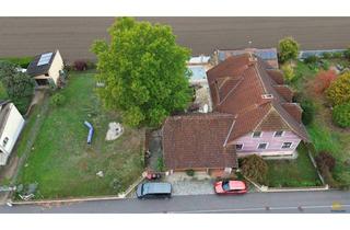 Einfamilienhaus kaufen in 3462 Absdorf, Großzügiges Familienhaus mit erstaunlichem Keller, Sauna, Schutzraum und Außenpool