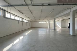 Lager mieten in Kolpingstraße, 1230 Wien, Ihr Unternehmensstandort in Wien-Liesing - Büro, Lager und Stellplätze Nahe dem Knoten Inzersdorf