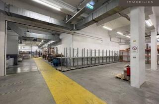 Lager mieten in Lobmeyrgasse, 1160 Wien, Großzügige Lagerfläche mit Regalsystem in 1160 Wien
