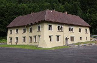 Büro zu mieten in 9181 Feistritz im Rosental, Ihr Neuer, Repräsentativer Firmensitz - wo Tradition auf Moderne Zukunft Trifft.