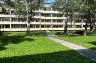 Genossenschaftswohnung in Steinfeldstraße 28/29, 3100 Sankt Pölten, Genossenschaftswohnung in St. Pölten