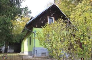 Haus kaufen in 7442 Langeck im Burgenland, Langeck: Idyllisches Wohnen am Waldrand