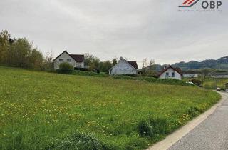 Grundstück zu kaufen in Tulpenweg, 4209 Engerwitzberg, Baugrundstück in Engerwitzdorf - 682 m² - Tulpenweg