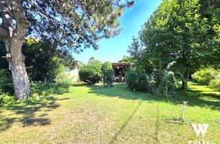 Grundstück zu kaufen in 2103 Langenzersdorf, Großzügiges Kleingartengrundstück mit Haus | ca. 1436 m2 Eigengrund | +++TEILBAR+++ | ganzjähriges Wohnen