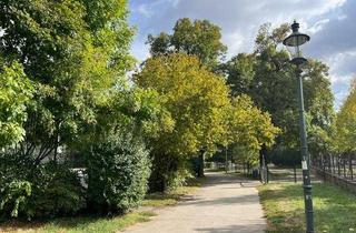 Wohnung kaufen in Türkenschanzpark, 1180 Wien, Türkenschanzpark: sehr schöne, ruhige 3 Zi.-Wohnung mit Grünblick