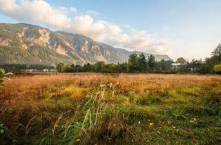 Gewerbeimmobilie kaufen in 9587 Riegersdorf, Grünland in Villach/Oberschütt
