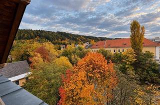 Wohnung kaufen in 9800 Spittal an der Drau, GROSSZÜGIGE DACHGESCHOSSWOHNUNG MIT LOGGIA UND SCHÖNEM AUSBLICK – ZENTRAL GELEGEN IN SPITTAL, DIREKT NEBEN DER FACHHOCHSCHULE!