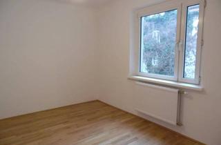 Wohnung mieten in 1010 Wien, Helle Wohnung in absoluter Ruhelage
