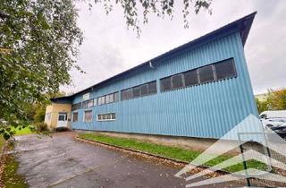 Büro zu mieten in Volkersdorferstrasse, 4483 Hargelsberg, Kompakte Betriebshalle mit Büro und Freifläche in Hargelsberg!