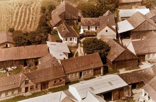 Gewerbeimmobilie kaufen in 2115 Maisbirbaum, Historischer Weinviertler Hof mit rund 23.775 m² Grundbesitz, Waldflächen und großzügigem Rohdachboden