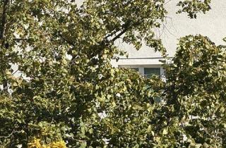 Maisonette mieten in Gernotgasse, 1150 Wien, Geräumige 2 Zimmer Wohnung für Geniesser - Fitness, Pool, Sauna