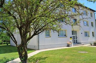 Wohnung mieten in Bartlgasse 7/14, 3100 Sankt Pölten, Bartlgasse 7/14