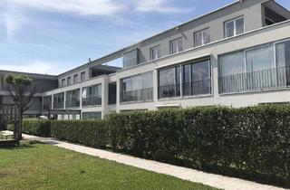 Wohnung mieten in 6971 Hard, 2-Zi-Wohnung mit Wintergarten in Hard zu vermieten!