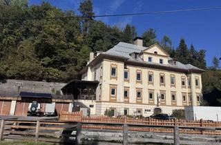 Mehrfamilienhaus kaufen in 9585 Gödersdorf, Vielseitiges Büro- und Wohngebäude mit Großem Nutzungspotenzial - Wohnen & Arbeiten unter einem Dach!