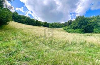 Grundstück zu kaufen in 3400 Klosterneuburg, Traumhaftes Grünland