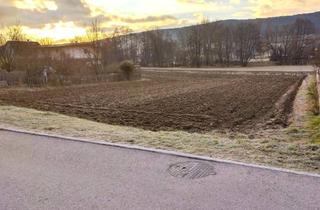 in Wr. Neustadt, Eisenstadt, 2753 Markt Piesting, 537 m² Baurechtsgrund auf 99 Jahre