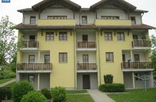 Wohnung mieten in Hauptstraße 38, 4762 Sankt Willibald, Objekt 348: 3-Zimmerwohnung in 4762 Sankt Willibald, Hauptstraße 38, Top 1