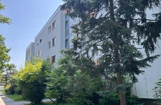 Wohnung mieten in 2344 Maria Enzersdorf, Großzügige 1-Zimmer Wohnung inkl. BK + Heizung + Warmwasser im Südstadtzentrum