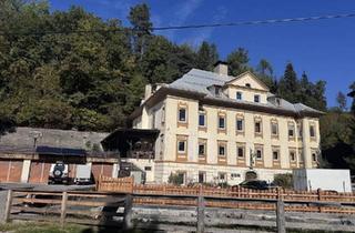 Mehrfamilienhaus kaufen in 9585 Villach-Warmbad-Judendorf, Vielseitiges Büro- und Wohngebäude mit großem Nutzungspotenzial – Wohnen & Arbeiten unter einem Dach!