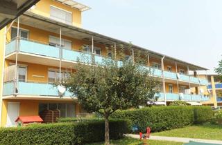 Wohnung mieten in Schererstrasse 37a/3, 8052 Graz, Klein, fein, mein! 67 m² Wohnkomfort mit Balkon, Schererstrasse 37a/3 - geförderte Miete ODER geförderte Miete mit Kaufoption - 2 Zimmer