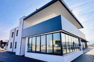 Büro zu mieten in 2620 Neunkirchen, Moderne Büro-/Gewerbefläche in Neunkirchen