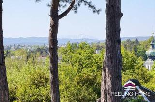 Villen zu kaufen in Schreiberweg, 1190 Wien, Exklusive Lage mit Weitblick: Historische Villa in Grinzing mit Panorama bis zum Schneeberg und magischen Abendstimmungen