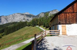 Haus kaufen in 8790 Eisenerz, Wunderschöne Aussicht - Verkaufe Baugrund mit ca. 7 ha Wiese