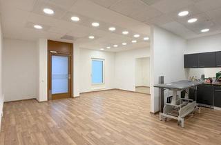 Büro zu mieten in Kardinal Piffl-Platz, 3400 Klosterneuburg, Kleine Fläche. Große Pläne.