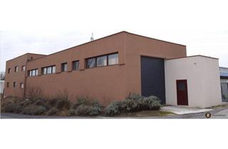 Lager mieten in 7053 Hornstein, HORNSTEIN – VIELSEITIGE HALLEN & GEWERBEFLÄCHEN ZUR MIETE
