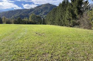 Grundstück zu kaufen in 8934 Altenmarkt bei Sankt Gallen, Landwirtschaftliches Wiesengrundstück in Altenmarkt bei St. Gallen zu kaufen,