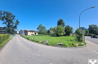 Grundstück zu kaufen in 6845 Hohenems, Grundstück Für Häuslebauer