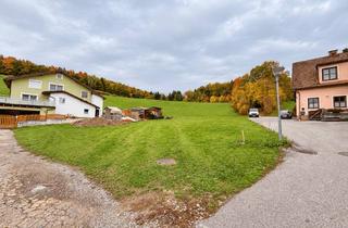 Grundstück zu kaufen in Priefamtann 38, 2532 Heiligenkreuz, Baugrundstück am Waldrand – 791 m² in Heiligenkreuz im Wienerwald